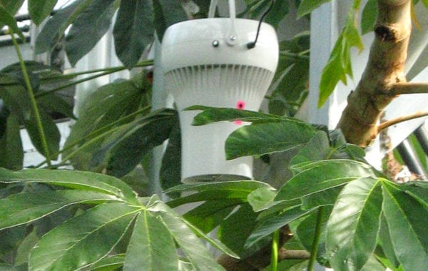 greenhouses botnical gardern airius fans